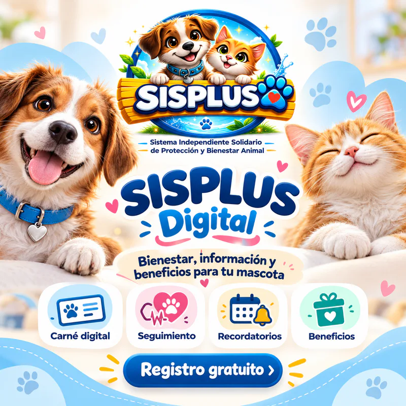 Logo de Sisplus Digital